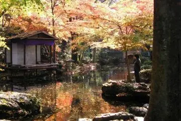 The Pond