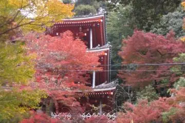 3 Tier Pagoda