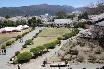 Gallery image