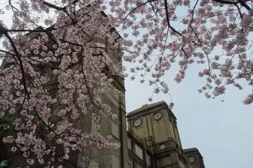  ซากอัฒจันทร์เก่าของสนามม้าในสวนป่าเนะกิชิ (Negishi Forest Park) 