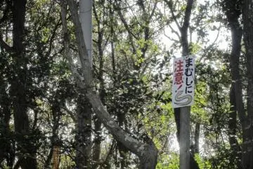 The sign says "Beware of mamushi". These are poisonous snakes that are around in the warmer months. Mind where you put your feet.