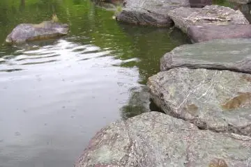 Stone bridge