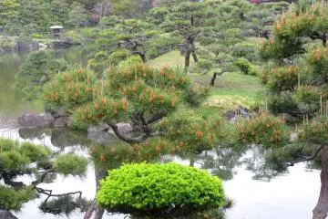 In the spring, green leaves are the most beautiful
