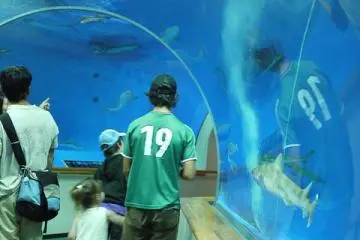 Aquas glass tunnels