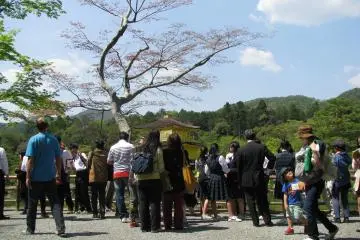 Tourists at Kinkakuji Temple