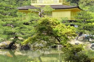 Exciting view of Kinkakuji