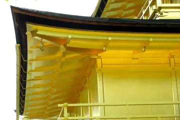 Close-up photos show better that it's golden!