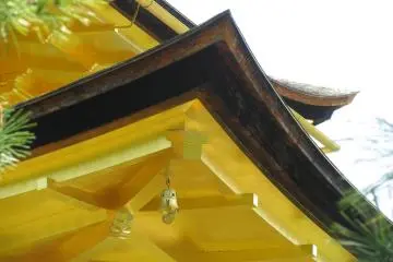 Beautiful details