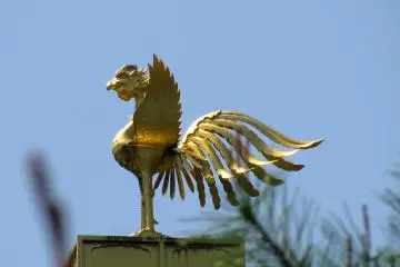 Golden Phoenix tops the roof of Kinkakuji