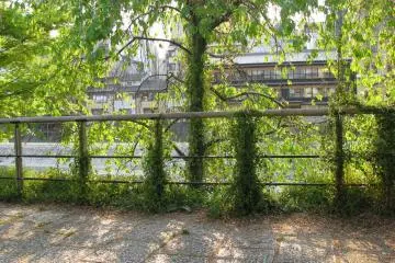 Nice places to rest by Kamogawa