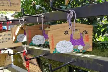 แผ่นไม้เอะมะของศาลเจ้าโทะโชะกุ 