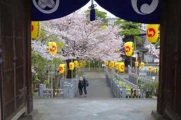 Gallery image