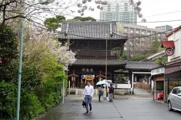 Gallery image