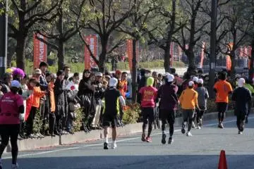 <p>La course se termine dans le charmant parc du chateau de Matsuyama. Pour ces coureurs, le chemin jusqu'&agrave; l'arriv&eacute;e se fait en boitillant le long des douves.</p>