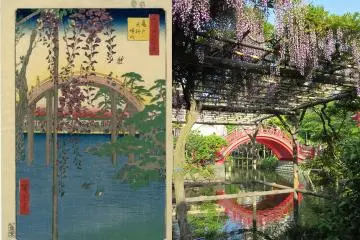 Fuji Festival at Kameido Tenjin Shrine