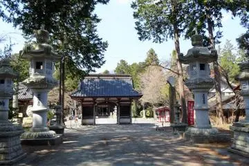 Gallery image
