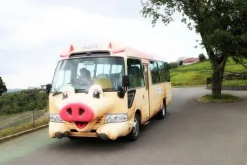 If you are too tired to walk, you can take a cute bus to get around