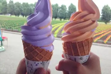 Ice-cream