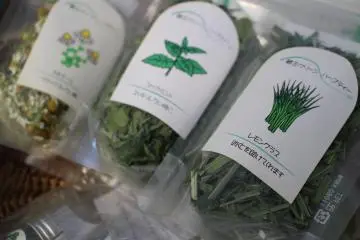 Selection of products at Zao Herb