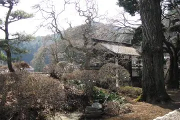 The temple's garden