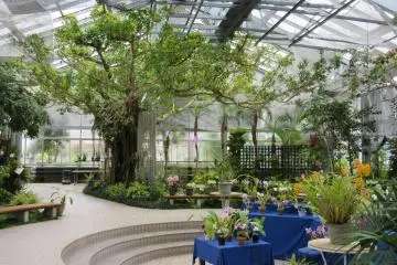 Greenhouse displayed the orchid exhibition