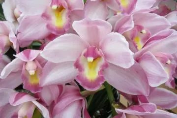 Just lovely