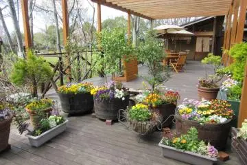 The garden's shop