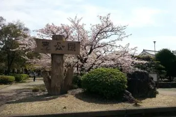 Ho Park