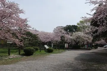 Near the entrance to the park