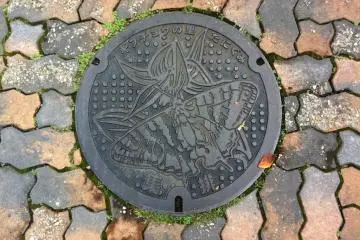 A beauttifully designed manhole cover along the brick promenade leading to the temple grounds