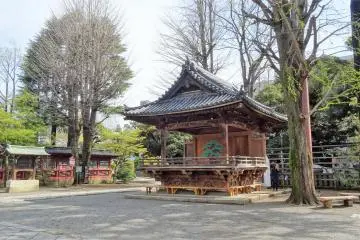 Gallery image