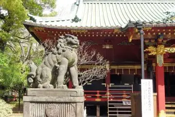 Gallery image