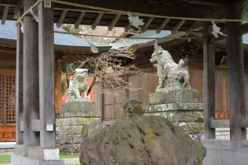 Kuil tenang