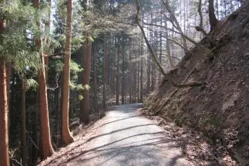 Jalan menuju Jigokudani Yaen Koen