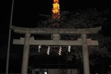 Torii to jinja