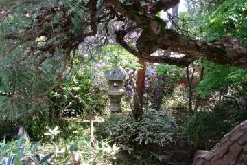 Beautiful garden along the path
