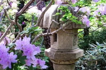 All the fragments are beautiful!