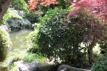 Water features are also always present in a Japanese garden