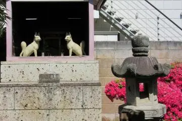 Kitsune
