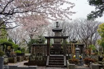 สุสานโบราณกับดอกไม้สุดสวย