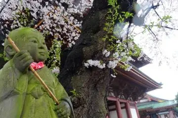 สวยซึ้ง