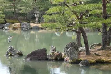 Kyoto, Golden Pavilion