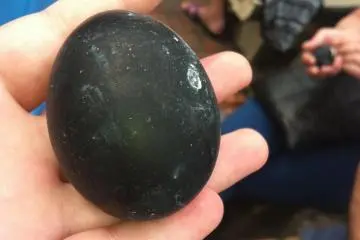 Waiting to eat our 'black eggs'—a speacialy that must be tried