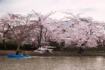 An unforgettable boat ride