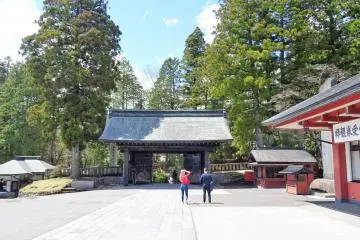 Gallery image