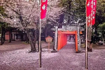 Un Tori (porte) coloré et un petit sanctuaire se trouvent à proximité de la bordure Est des jardins