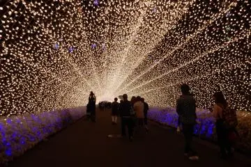 Nabana No Sato Spring Illumination