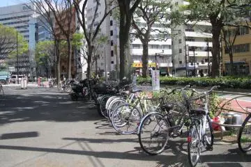 Many people ride bicycles in Tokyo