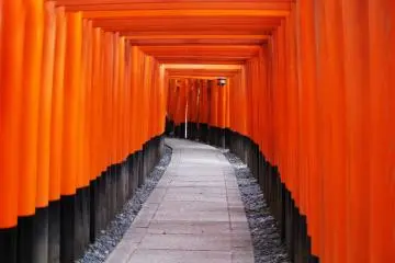 Mysterious corridor of torii