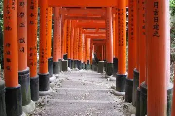 The trail goes up and down